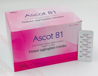 Ascot 81